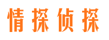 伊春侦探